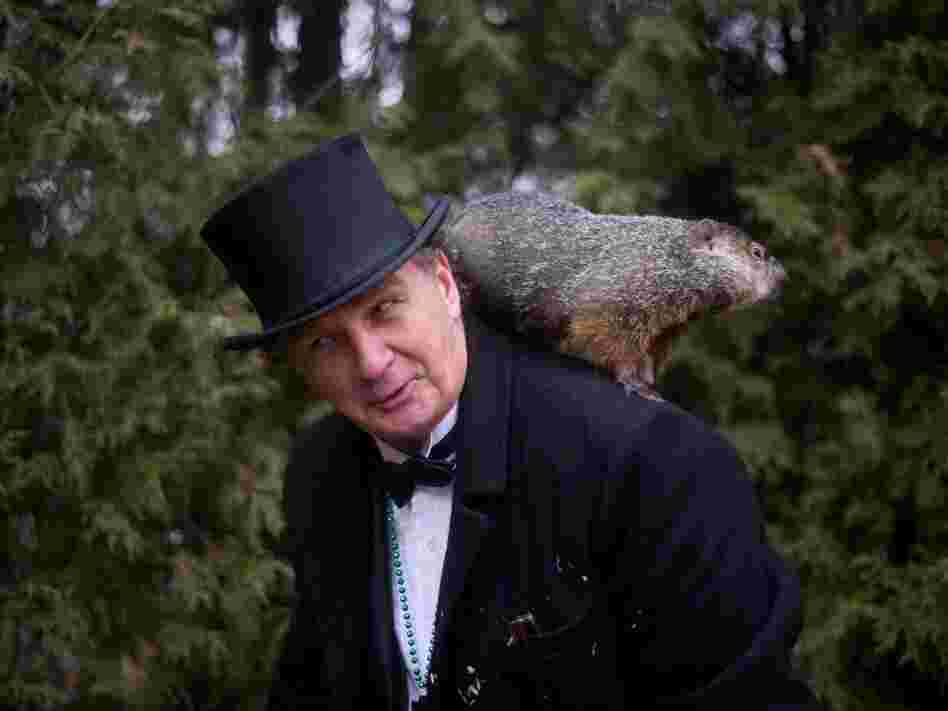 Groundhog handler John Griffiths holds Punxsutawney Phil after he saw his shadow predicting six more weeks of winter during annual Groundhog Day festivities Thursday in Punxsutawney, Pa.