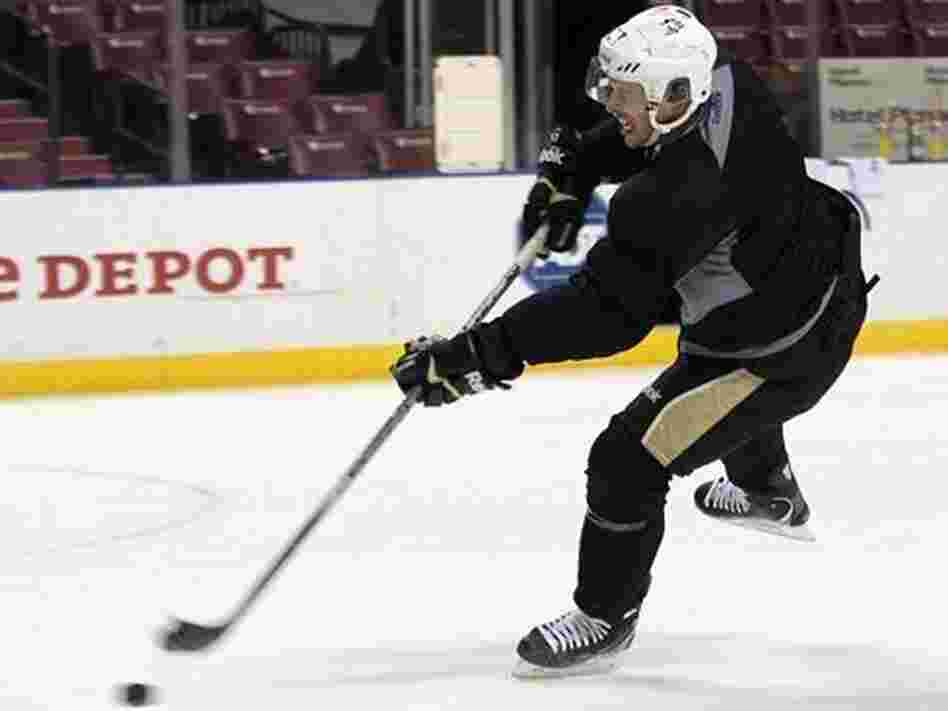 Pittsburgh Penguins star Sidney Crosby has missed months of play because of a concussion. Pittsburgh Penguins star Sidney Crosby has missed months of play because of a concussion.