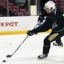 Pittsburgh Penguins star Sidney Crosby has missed months of play because of a concussion. 