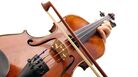 fiddle fiddle