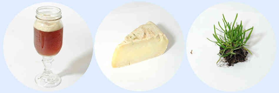 Taleggio cheese and Mikkeller Nelson Sauvin Brut: It's like that "unique" couple at a party: everyone else is really glad they found each other.