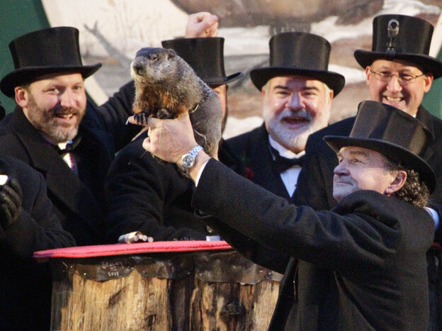 Punxsutawney Phil and his buddies earlier today. 