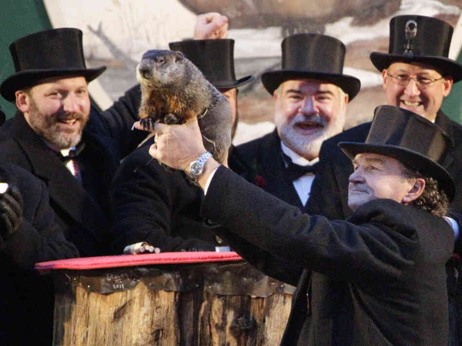 Punxsutawney Phil and his buddies earlier today. 