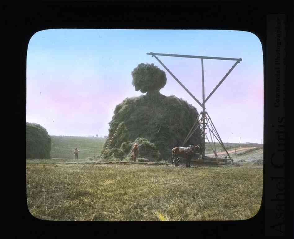 Stacking alfalfa hay near Grandview