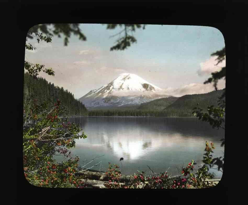 Mount St. Helens from Spirit Lake