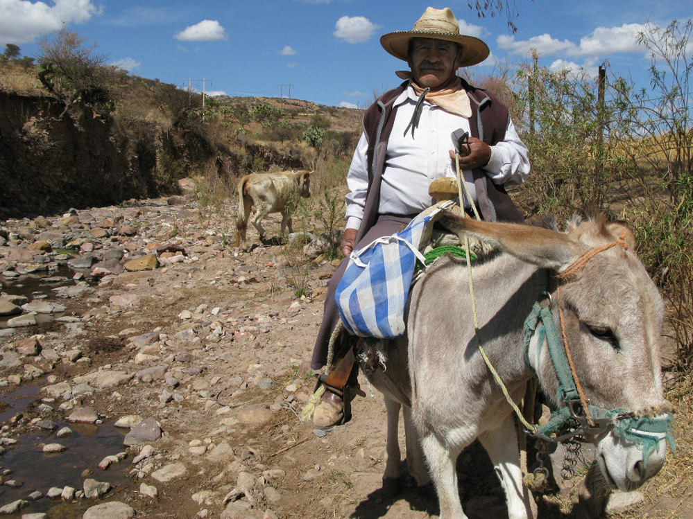 Genaro Rodarte Huizar, 76, says his corn and bean crops have failed for the past two years. He survives off money sent home by his children, who work in the United States.