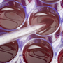 There's a funding tempest in a cell culture.