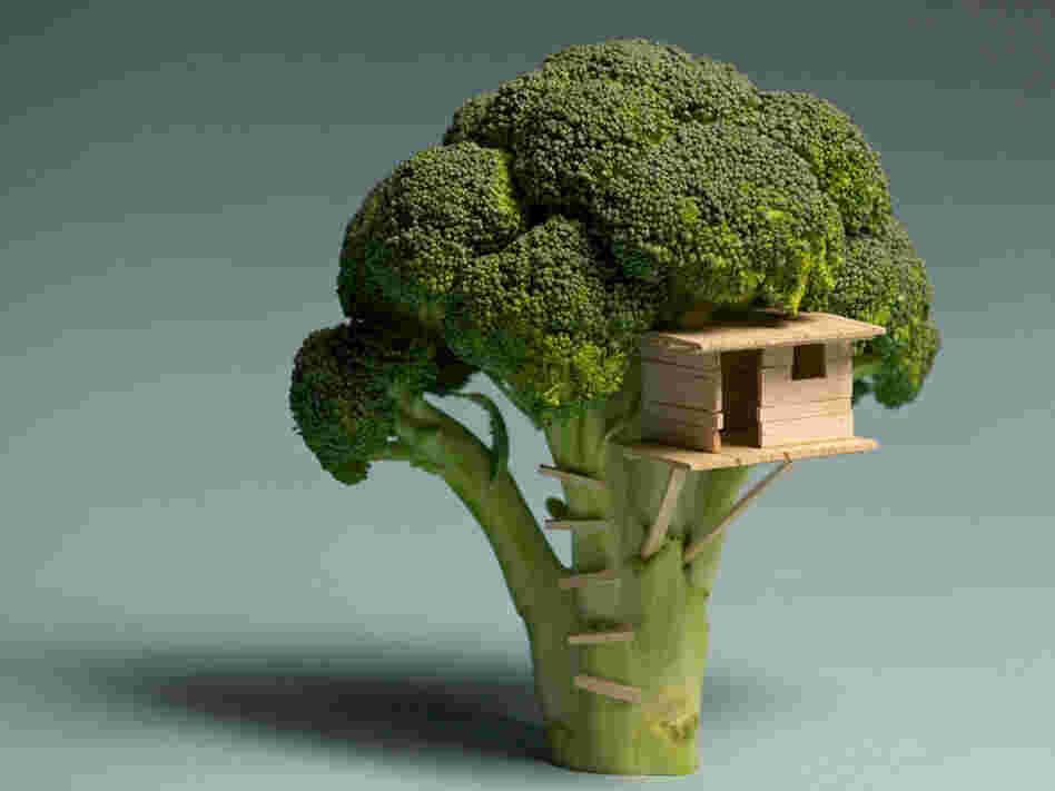  Using broccoli, balsa wood and some glue Brock Davis has created a "Broccoli House."