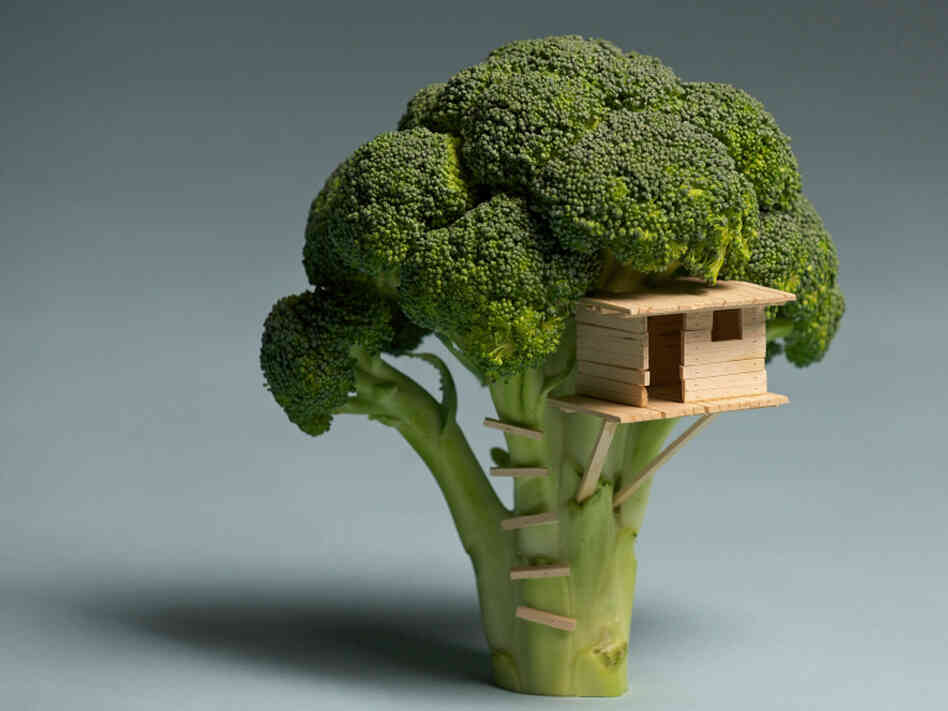  Using broccoli, balsa wood and some glue Brock Davis has created a "Broccoli House."