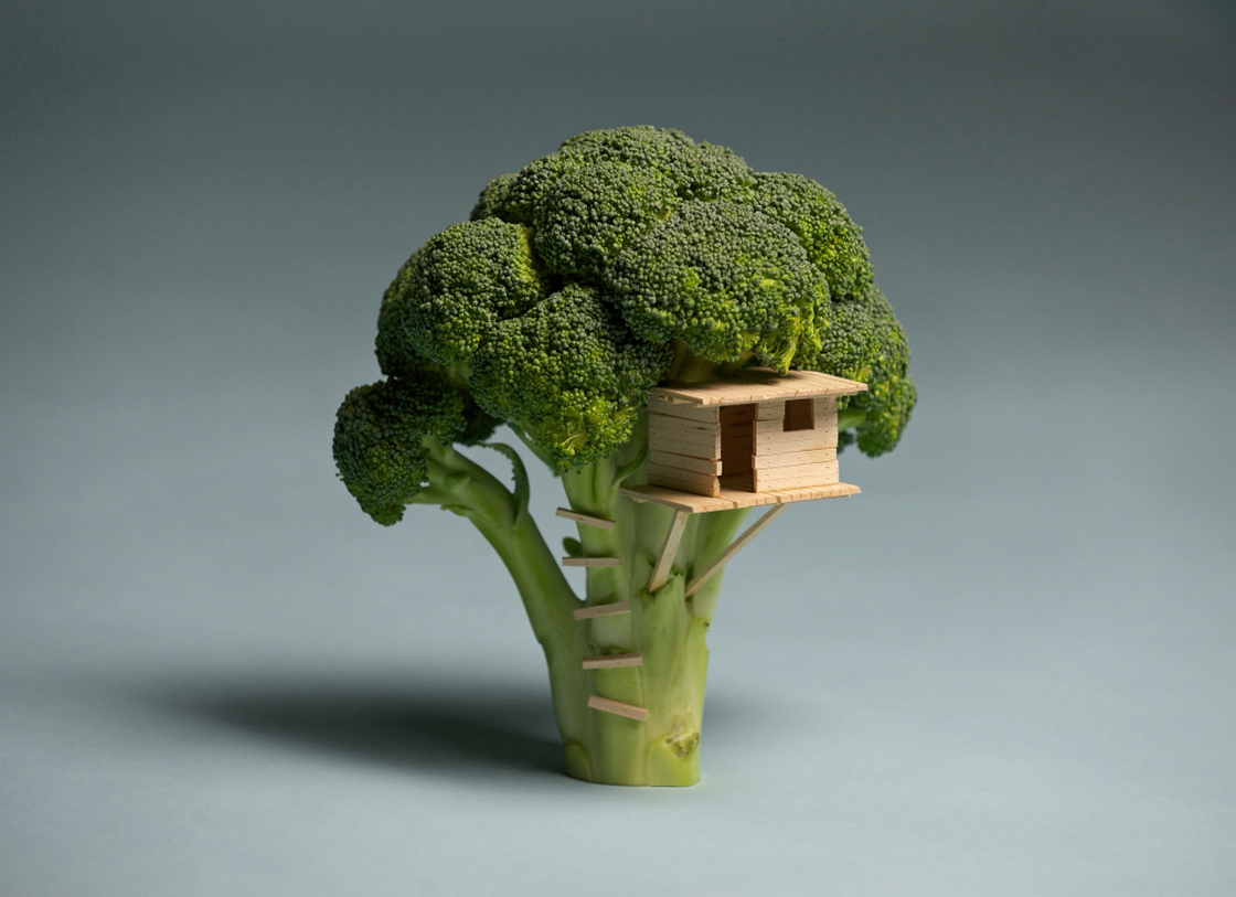 Using broccoli, balsa wood and some glue Brock Davis has created a "Broccoli House."