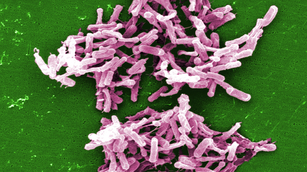 When it comes to taking up residence in your intestines,  Clostridium difficile, like these, may get some help from common heartburn drugs.
