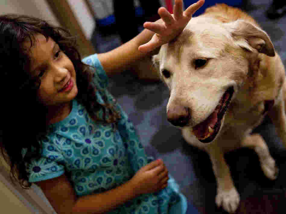 Thelma Balmaceda, age, 4, pets Viola, the resident canine at the Children's Inn on the campus of the National Institutes of Health in Bethesda, Md. Families stay at the inn when their children are undergoing experimental therapies at NIH. Thelma Balmaceda, age, 4, pets Viola, the resident canine at the Children's Inn on the campus of the National Institutes of Health in Bethesda, Md. Families stay at the inn when their children are undergoing experimental therapies at NIH.