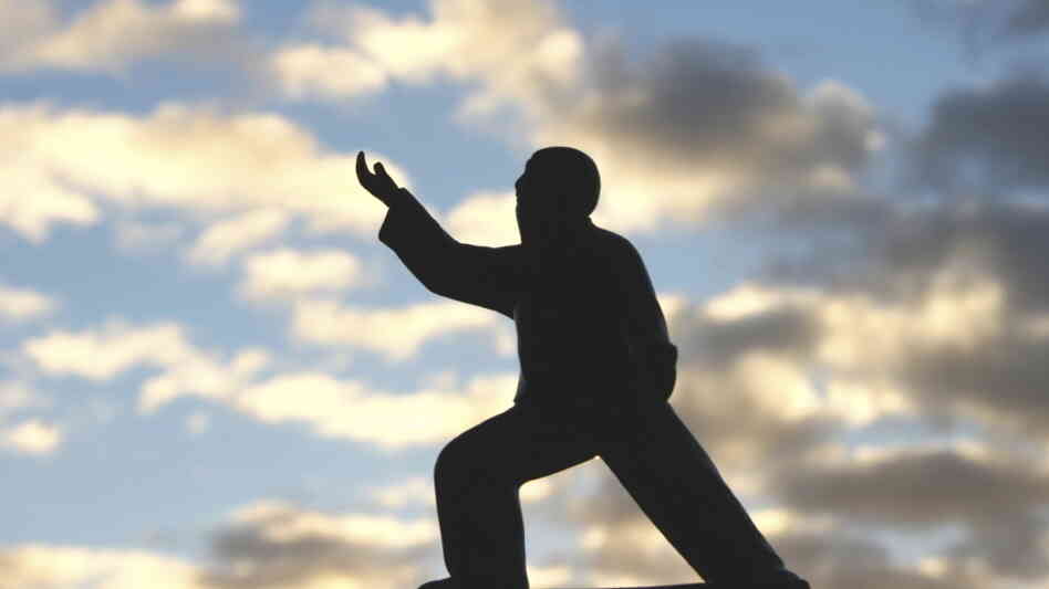In a study, patients with Parkinson's disease, a progressive nervous-system disorder, had fewer falls after taking up Tai Chi. In a study, patients with Parkinson's disease, a progressive nervous-system disorder, had fewer falls after taking up Tai Chi.