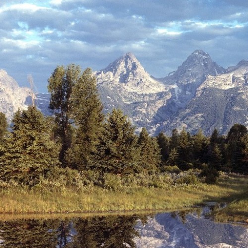 Yellowstone National Park.