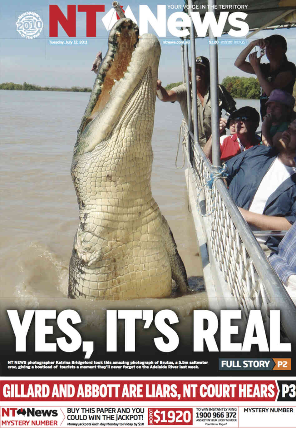 The NT News is famous across Australia for its liberal use of crocodile photos on the paper's front page, including this memorable shot of a "croc cruise." The NT News is famous across Australia for its liberal use of crocodile photos on the paper's front page, including this memorable shot of a "croc cruise."