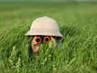 Who's watching you?