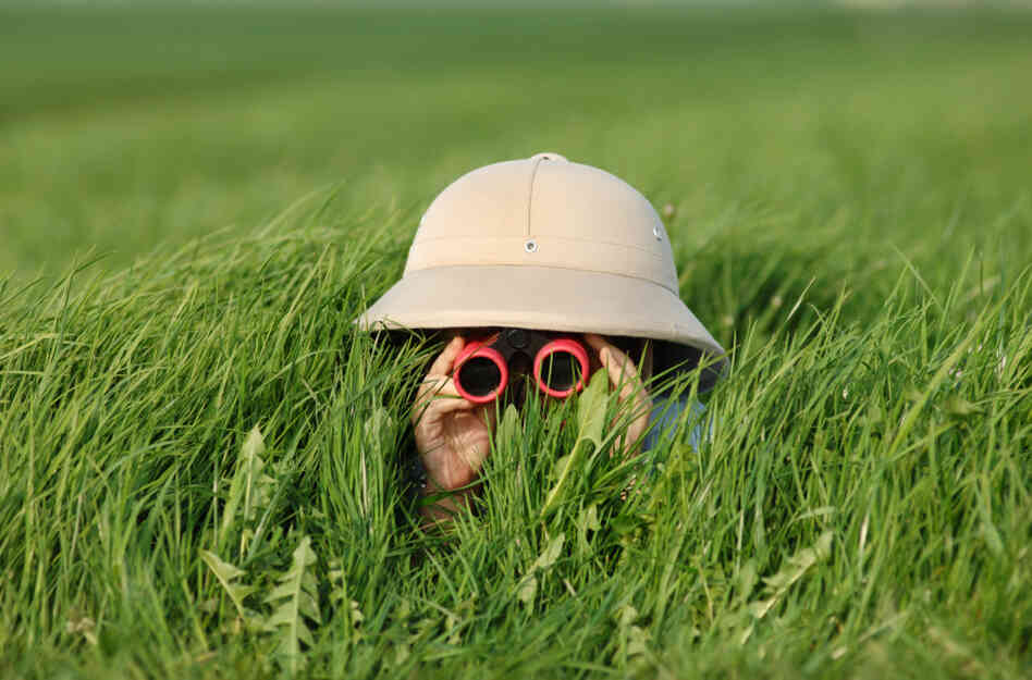 Who's watching you?