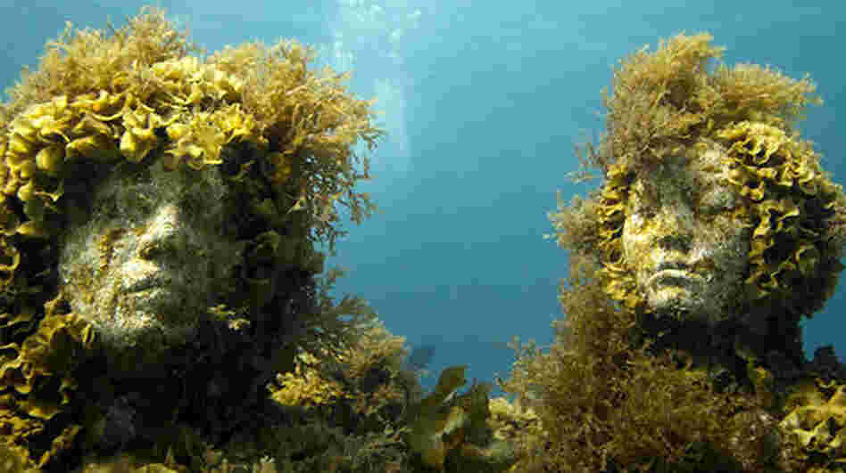Made from cement meant to host underwater life, La Evolucion Silencia provides a stable place for sea coral to grow.