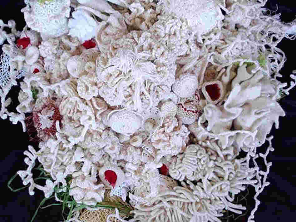 A new "White Reef" coral reef crochet by Dr. Axt.