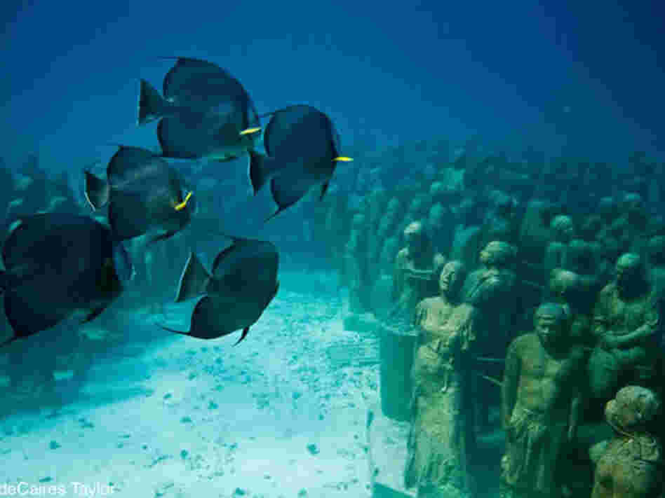 La Evolucion Silencia by Jason de Caires Taylor.