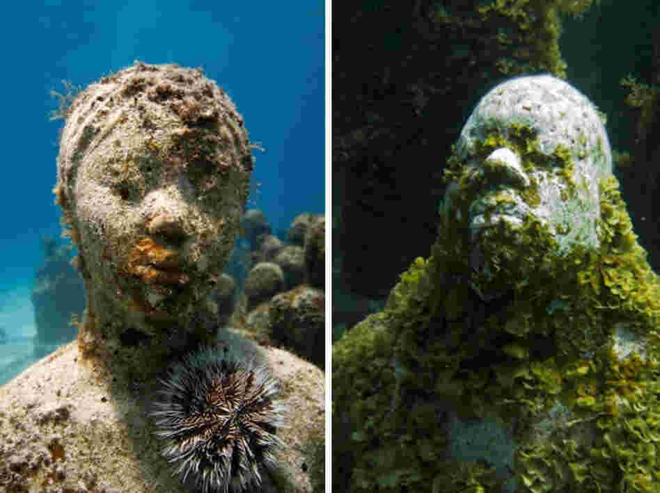 Over time, the sculptures will become completely engulfed in coral.