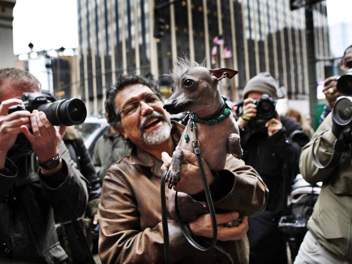 Jose Barrera holds Alma Dulce, his 2-year-old xoloitzcuintli, or Mexican hairless dog, one of six breeds that will compete for the first time in the 136th Westminster Kennel Club Dog Show in New York this week.