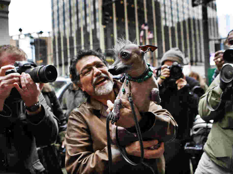 Jose Barrera holds Alma Dulce, his 2-year-old xoloitzcuintli, or Mexican hairless dog, one of six breeds that will compete for the first time in the 136th Westminster Kennel Club Dog Show in New York this week.
