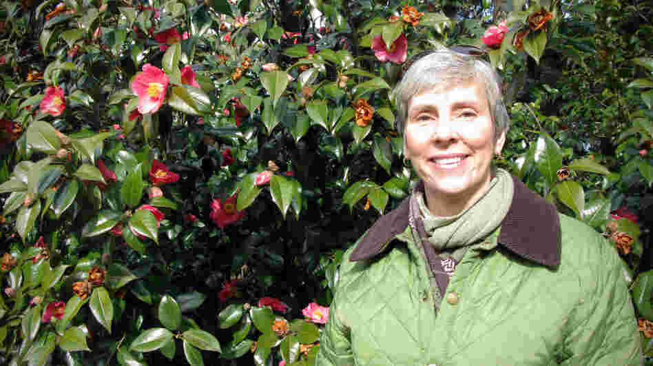  Kristin Schleiter, of the New York Botanical Garden, in front blooming red camellias.