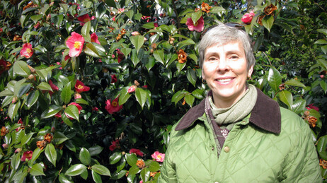Kristin Schleiter, of the New York Botanical Garden, in front blooming red camellias. Kristin Schleiter, of the New York Botanical Garden, in front blooming red camellias.