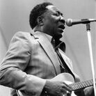 Muddy Waters pioneered Chicago's now-signature electric blues. Muddy Waters pioneered Chicago's now-signature electric blues.