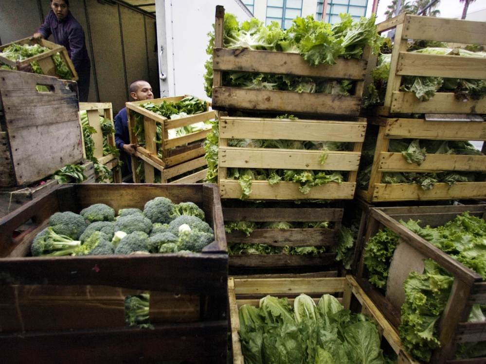 Edgar Jaime (right) and his brother Jose Luis unload organic vegetables from their farm in Santa Monica, Calif. Now that U.S. and European organic standards are equivalent, more American organic farmers will be able to export to Europe.