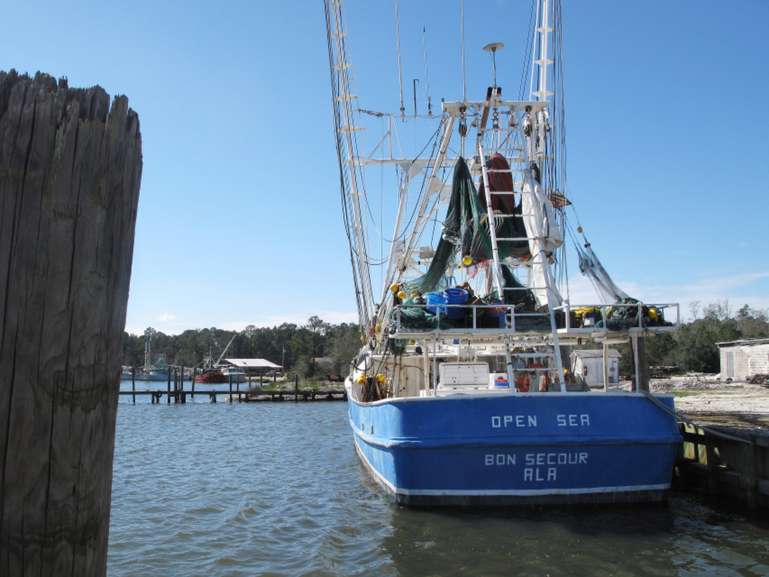  Docks on the Bon Secour River sit idle nearly two years after the BP oil spill. The small fishing village of Bon Secour, Ala., is still suffering the lingering effects of the spill, despite government monitoring and assurances that Gulf seafood is not contaminated. 
