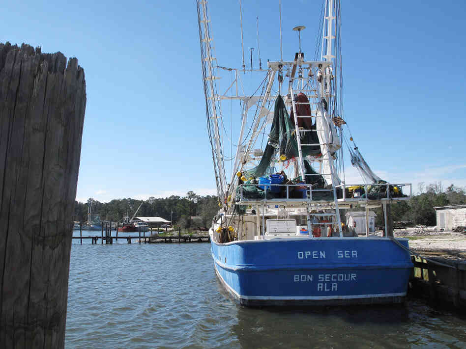  Docks on the Bon Secour River sit idle nearly two years after the BP oil spill. The small fishing village of Bon Secour, Ala., is still suffering the lingering effects of the spill, despite government monitoring and assurances that Gulf seafood is not contaminated. 