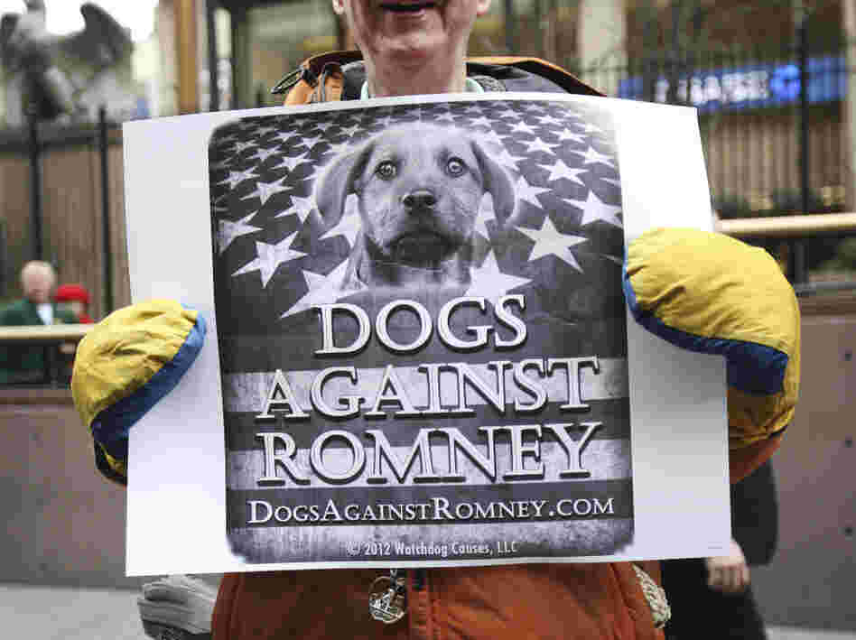 A man holds a sign during a "Dogs Against Romney" demonstration outside the 136th Westminster Kennel Club Dog Show at New York's Madison Square Garden, on Tuesday. 