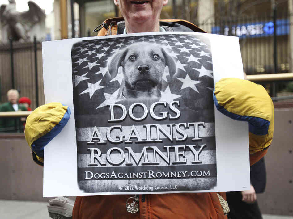 A man holds a sign during a "Dogs Against Romney" demonstration outside the 136th Westminster Kennel Club Dog Show at New York's Madison Square Garden, on Tuesday. 
