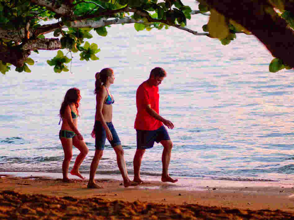 Matt King (George Clooney) is a Honolulu lawyer left alone with his two girls after his wife falls into a coma.