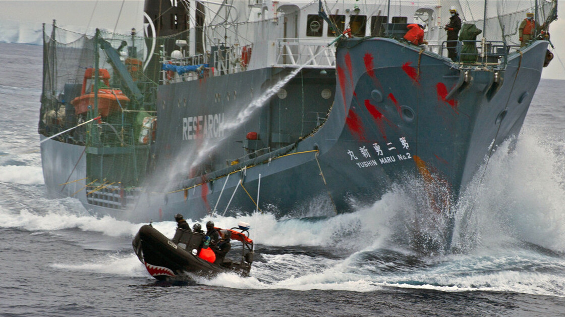 The Japanese whaling vessel Yushin Maru No. 2 shoots its water cannons at a Sea Shepherd craft during an altercation on Feb. 12, 2012. The photo was released by the Sea Shepherd Conservation Society.