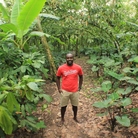 NPR producer John Asante visits the Tetteh Quarshie Cocoa Farm in the eastern region of Ghana during his first trip to the West African nation. 