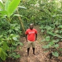 NPR producer John Asante visits the Tetteh Quarshie Cocoa Farm in the eastern region of Ghana during his first trip to the West African nation. NPR producer John Asante visits the Tetteh Quarshie Cocoa Farm in the eastern region of Ghana during his first trip to the West African nation.