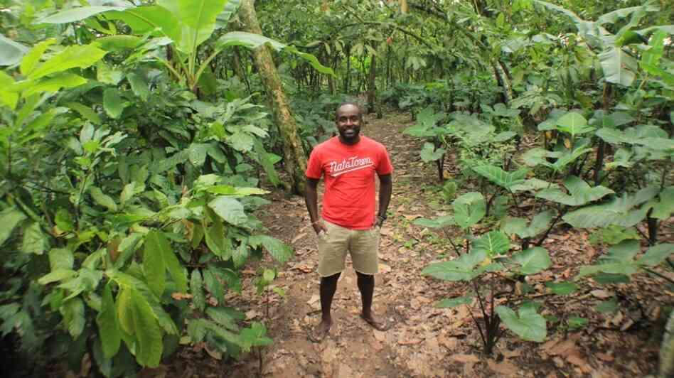 NPR producer John Asante visits the Tetteh Quarshie Cocoa Farm in the eastern region of Ghana during his first trip to the West African nation. NPR producer John Asante visits the Tetteh Quarshie Cocoa Farm in the eastern region of Ghana during his first trip to the West African nation.