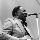 Seminal American blues singer and songwriter Muddy Waters.