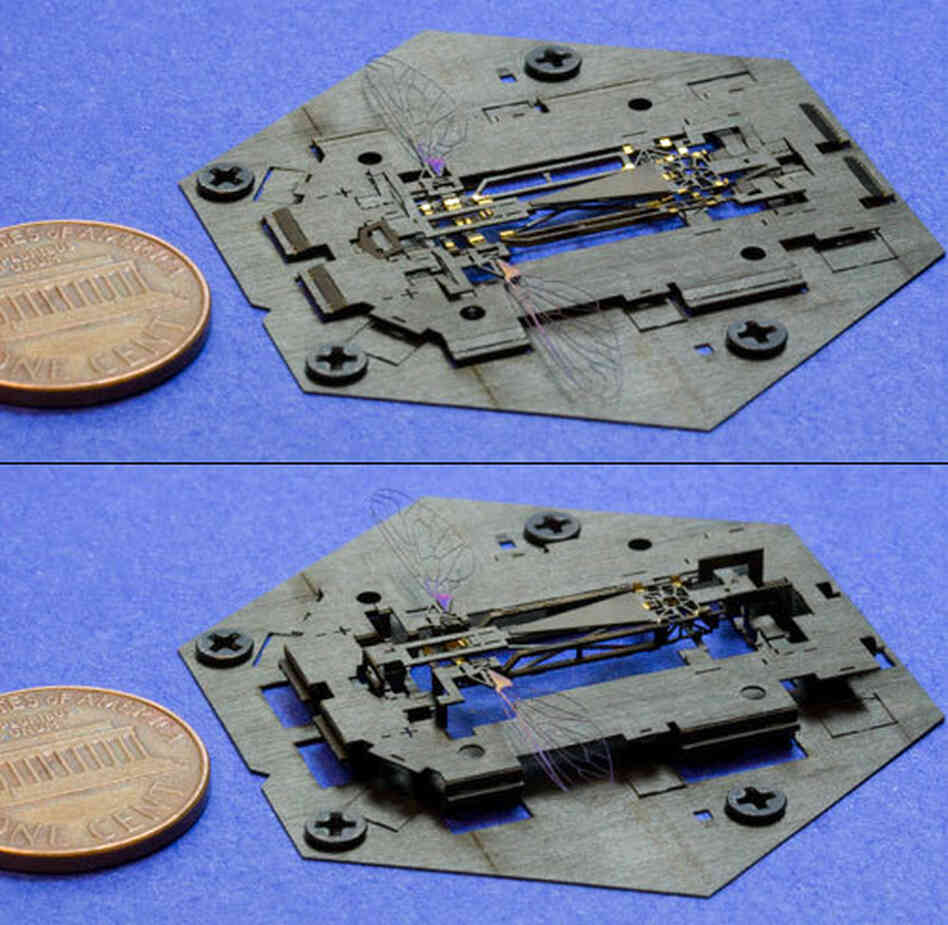 The Harvard Monolithic Bee (or "Mobee") pops up within an assembly scaffold, which performs more than 20 origami assembly folds in the process. The Harvard Monolithic Bee (or "Mobee") pops up within an assembly scaffold, which performs more than 20 origami assembly folds in the process.
