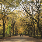 Autumn in Central Park. Autumn in Central Park.
