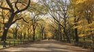 Autumn in Central Park. Autumn in Central Park.