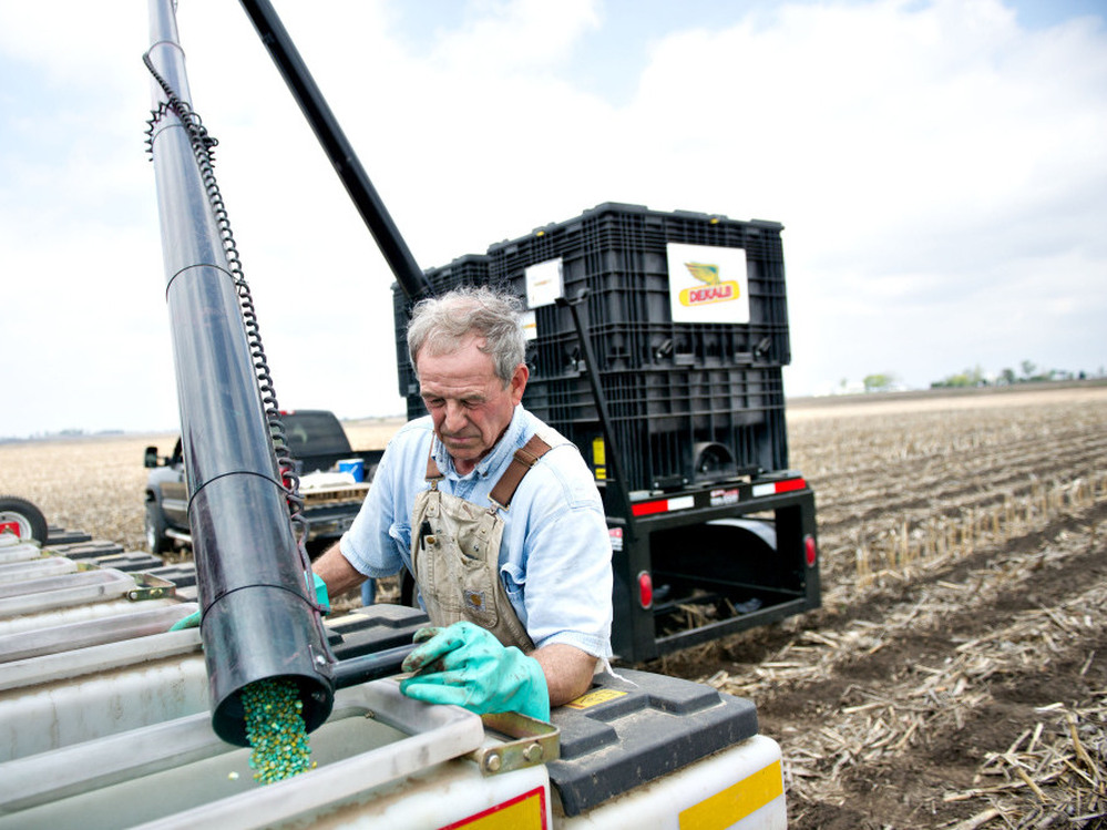 Farmer Alan Madison fills a seed hopper with Monsanto hybrid seed corn near Arlington, Illinois, U.S. A group of organic and other growers say they're concerned they'll be sued by Monsanto if pollen from seeds like these drift onto their fields. 