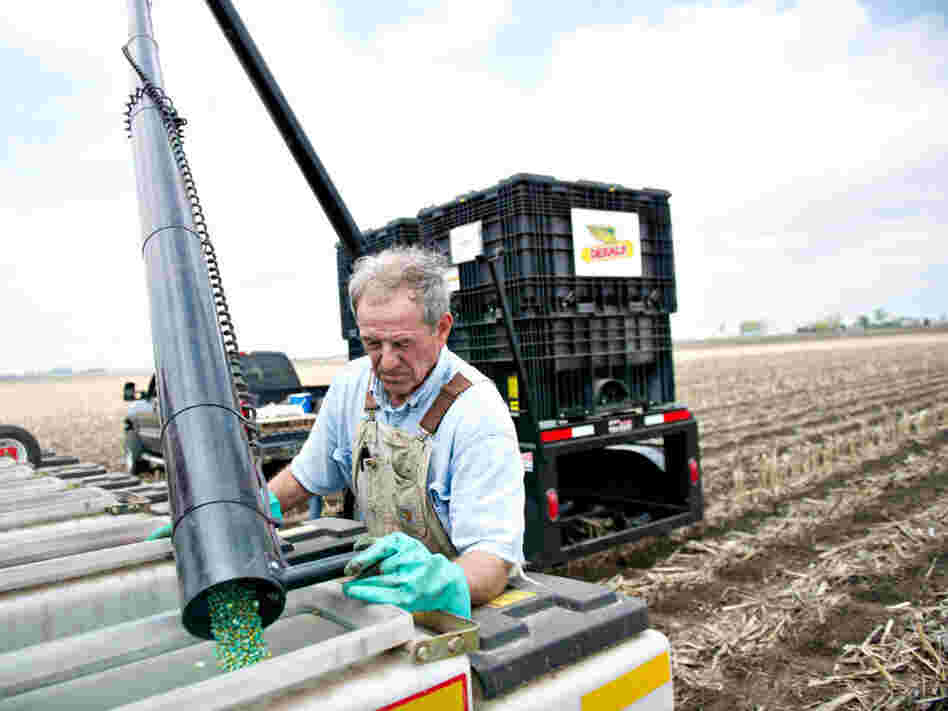 Farmer Alan Madison fills a seed hopper with Monsanto hybrid seed corn near Arlington, Illinois, U.S. A group of organic and other growers say they're concerned they'll be sued by Monsanto if pollen from seeds like these drift onto their fields. 