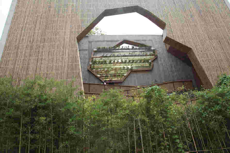 The Pritzker Jury citation said Wang is "capable of creating buildings on an intimate scale," as demonstrated above in his Ningbo Tengtou Pavilion at the Shanghai Expo.