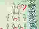 Am I My Genes cover detail