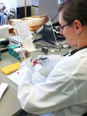 A Washington State Patrol crime lab technician opens DNA sample cards containing cheek swabs sent from jails and prisons. If the state Legislature approves pre-conviction DNA sampling, the number of cards the lab processes could double. A Washington State Patrol crime lab technician opens DNA sample cards containing cheek swabs sent from jails and prisons. If the state Legislature approves pre-conviction DNA sampling, the number of cards the lab processes could double.