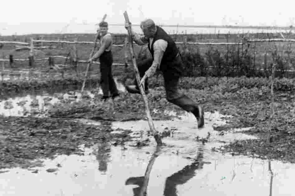 Dutch farmers cross a flooded field, Netherlands, 1938 